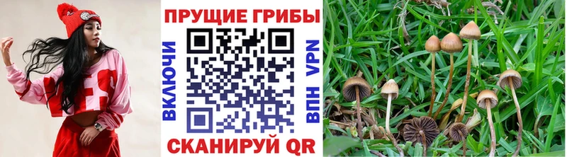 Псилоцибиновые грибы ЛСД  Купить  Мончегорск 